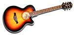 Richwood RG17CESB (used)