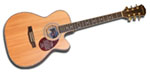 Freshman Apollo 2 OCED Electro Acoustic