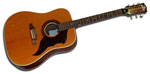 Eko Acoustic (used)