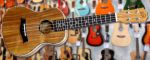 Wild Boar Concert Ukulele