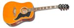 EKO Ranger VI VR CE Electro Vintage Reissue