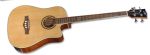 Eko Electro Acoustic Bass